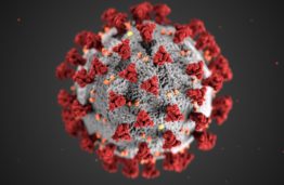 Florian Rabitz. Why do the origins of the coronavirus matter?
