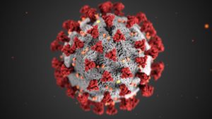 Florian Rabitz. Why do the origins of the coronavirus matter?