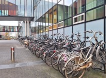 A large number of neatly parked bicycles next to a modern glass building with a connecting skybridge, reflecting urban infrastructure that supports sustainable transportation.